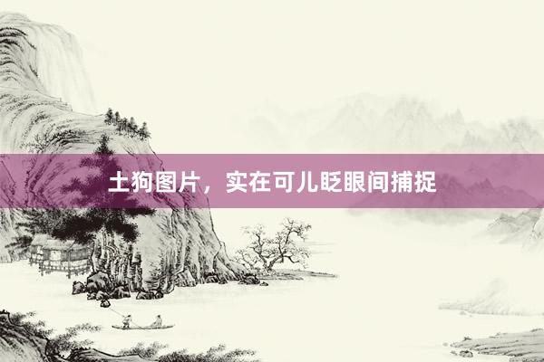 土狗图片,实在可儿眨眼间捕捉